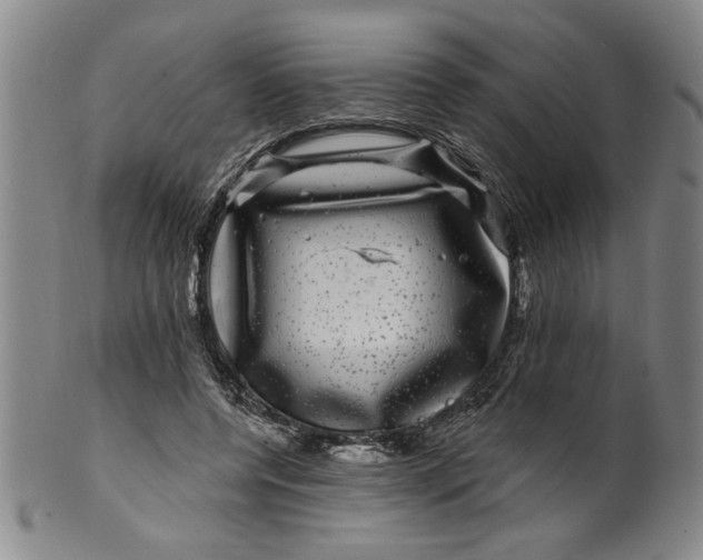 X0000100390544200806271359