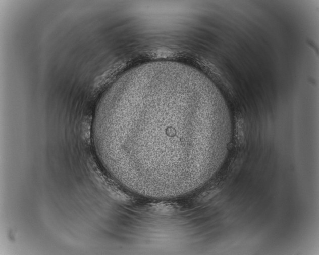 X0000100390545200806271359