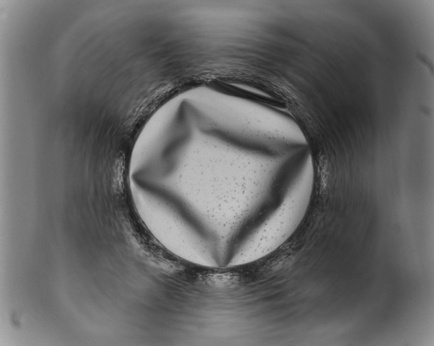 X0000100390546200806271359