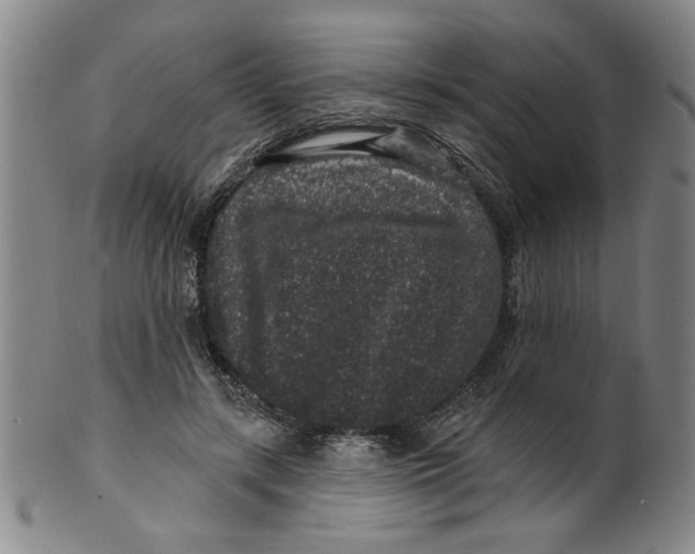 X0000100390547200806271359