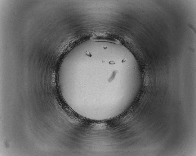 X0000100390548200806271359