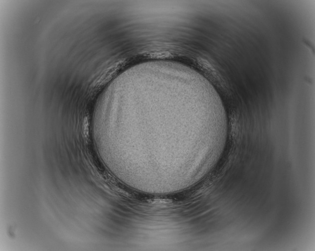 X0000100390549200806271359