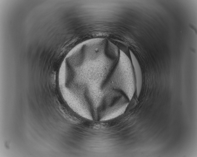 X0000100390550200806271359