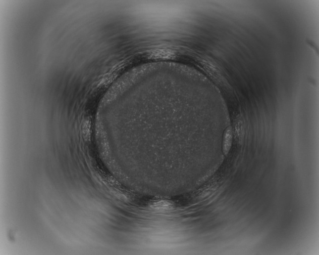 X0000100390551200806271359