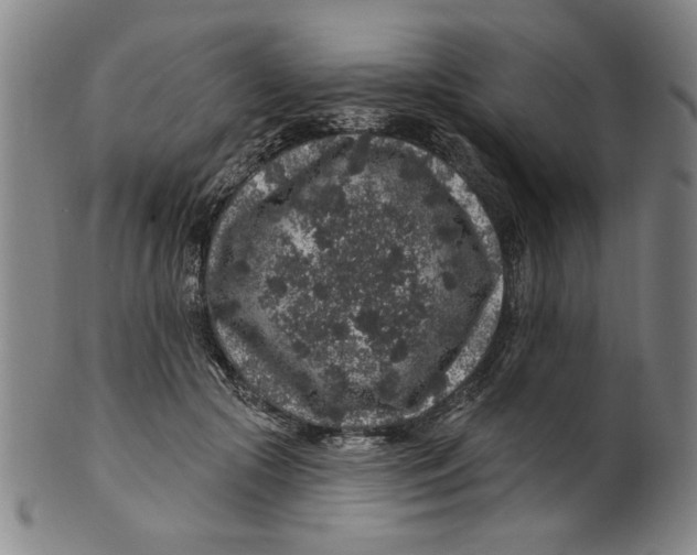 X0000100390553200806271359