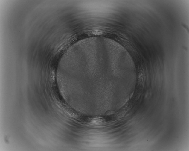 X0000100390555200806271359