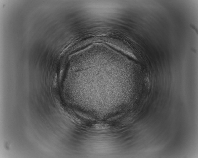 X0000100390556200806271359