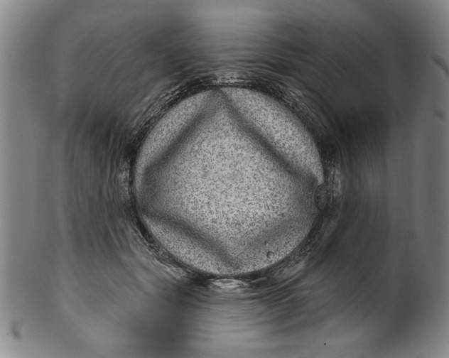 X0000100390557200806271359