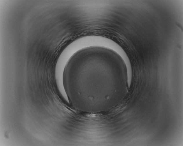 X0000100390558200806271359