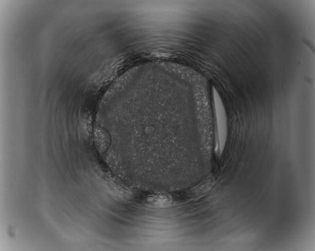 X0000100390559200806271359