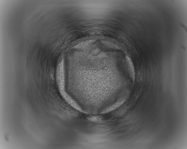 X0000100390561200806271400