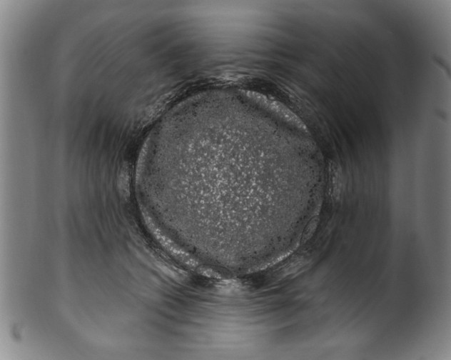 X0000100390562200806271400