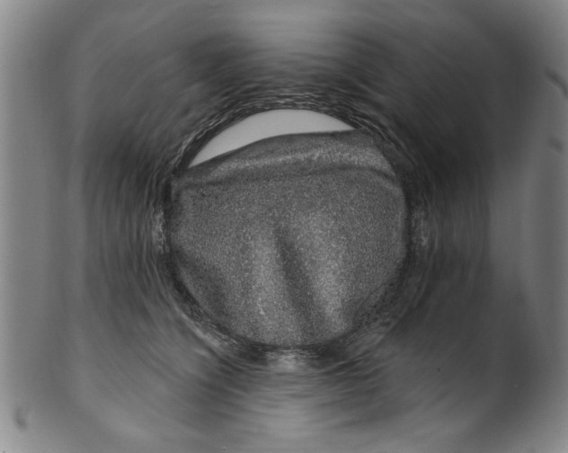 X0000100390564200806271400