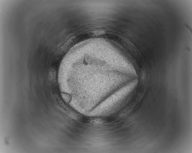 X0000100390565200806271400