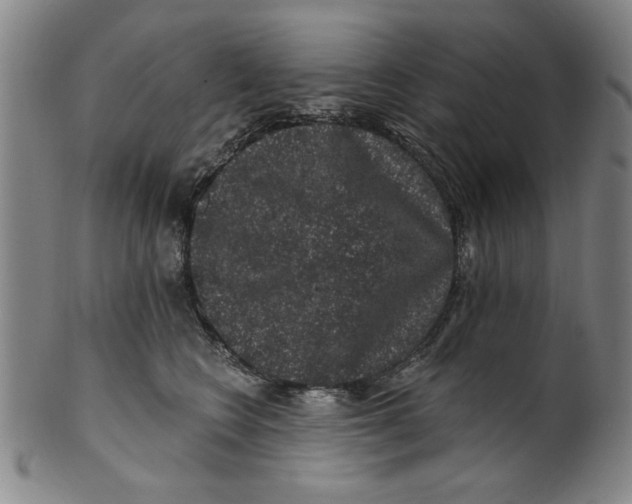 X0000100390566200806271400