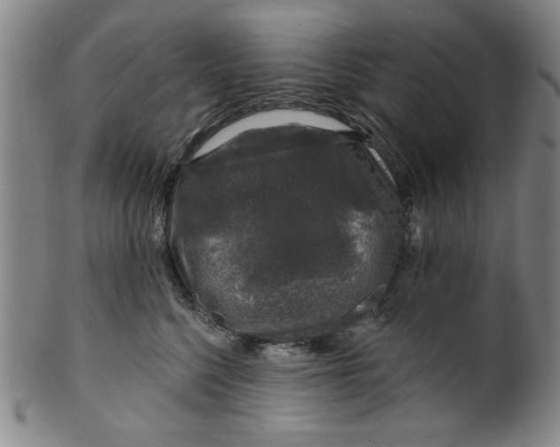 X0000100390568200806271400