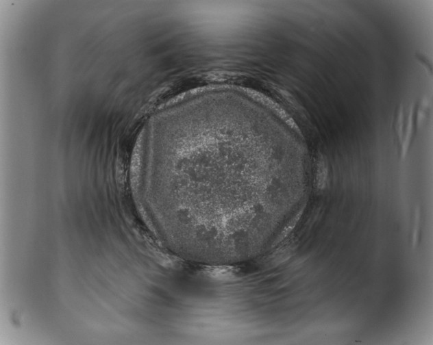 X0000100390569200806271400