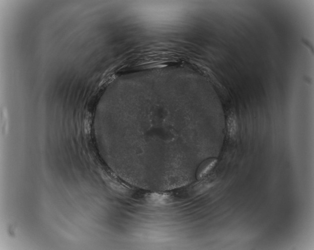 X0000100390570200806271400