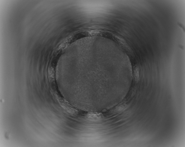 X0000100390571200806271400