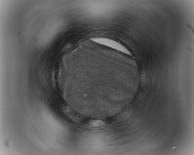 X0000100390572200806271400