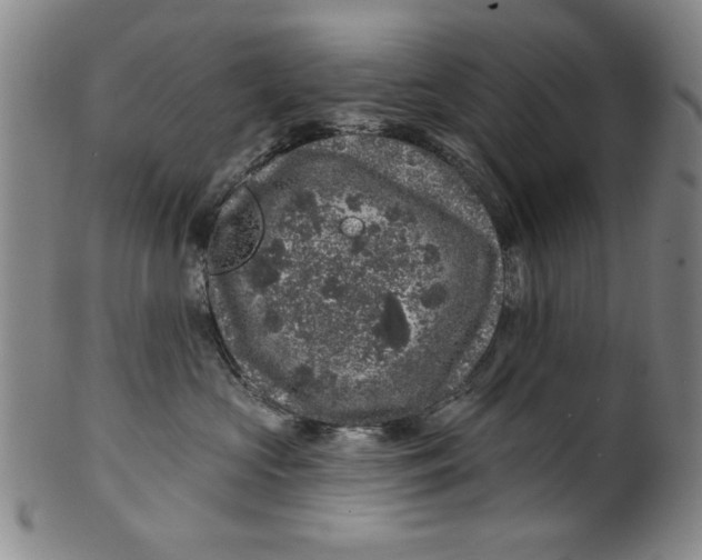 X0000100390573200806271400