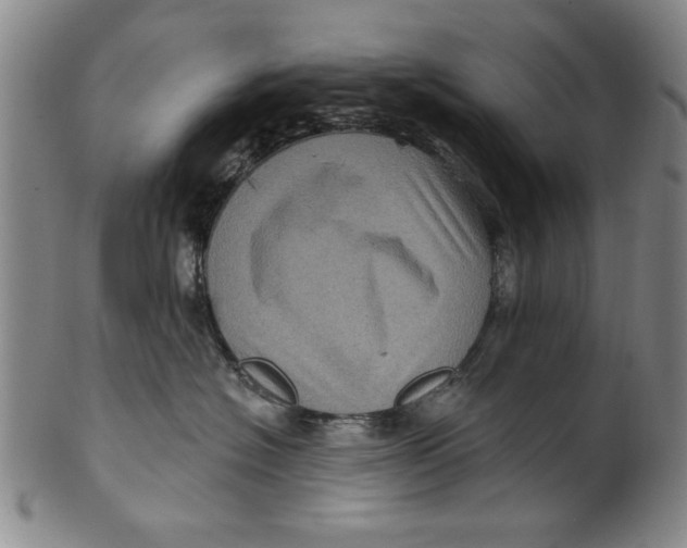 X0000100390574200806271400