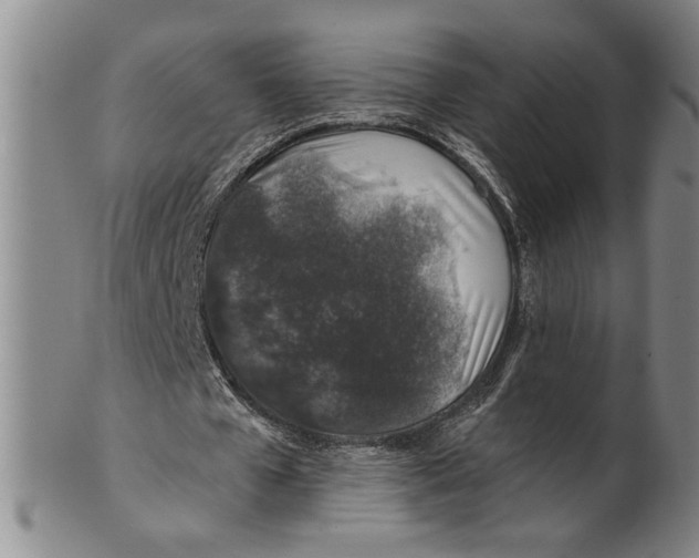 X0000100390577200806271359