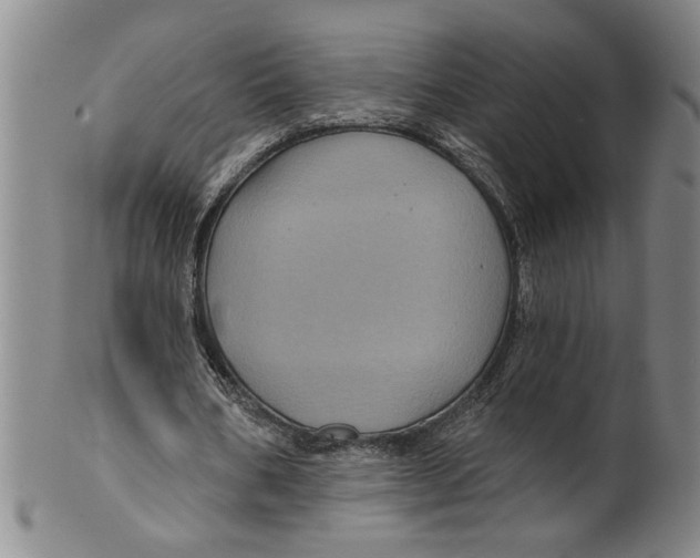 X0000100390578200806271359