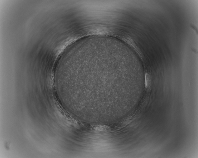 X0000100390579200806271359