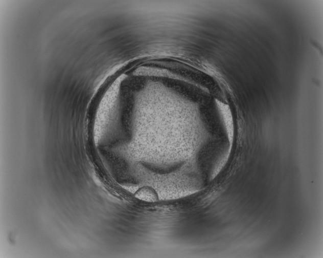 X0000100390580200806271359