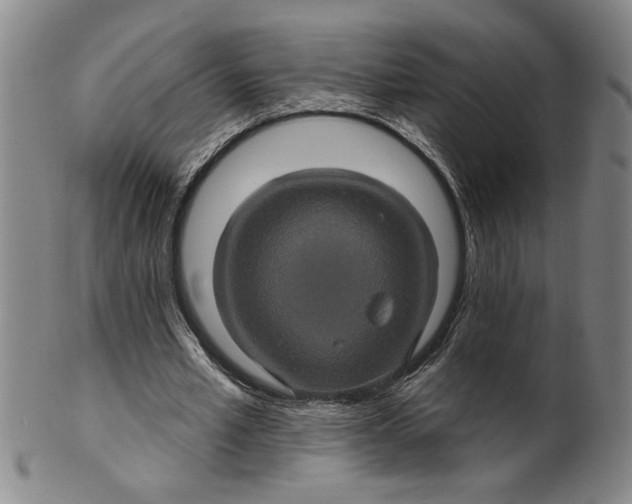 X0000100390581200806271359