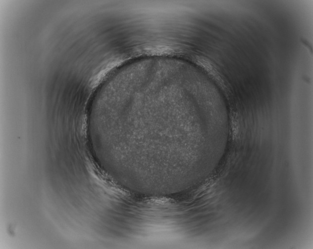 X0000100390583200806271359