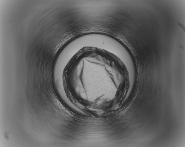 X0000100390585200806271359