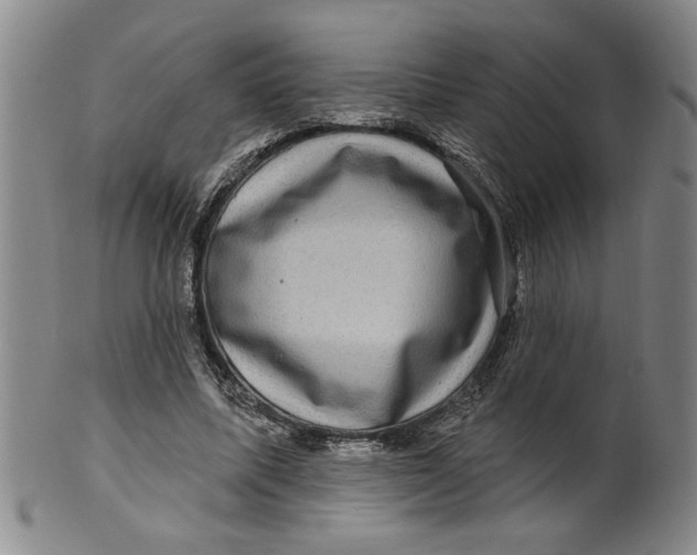 X0000100390587200806271359