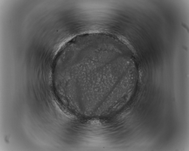 X0000100390588200806271359