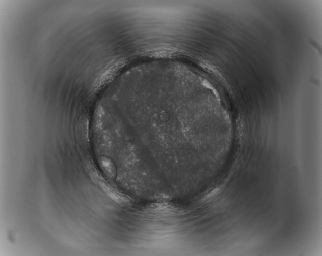 X0000100390589200806271359