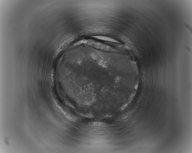 X0000100390590200806271359