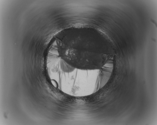 X0000100390592200806271359