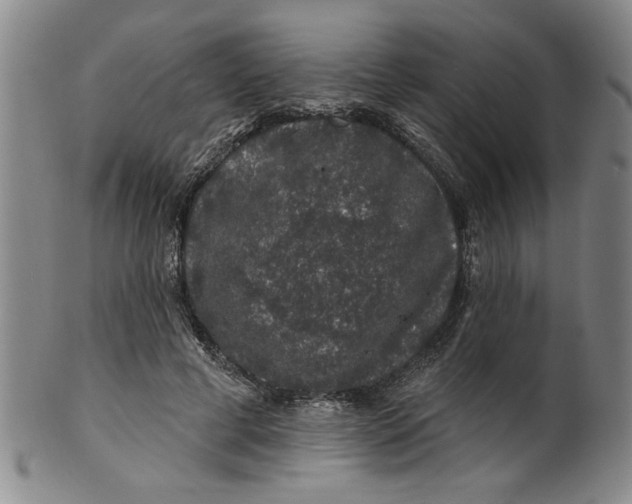 X0000100390593200806271359