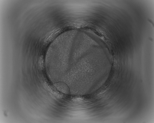 X0000100390594200806271359