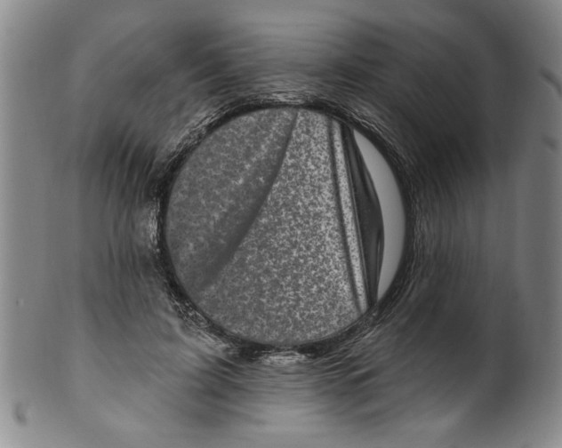 X0000100390595200806271359