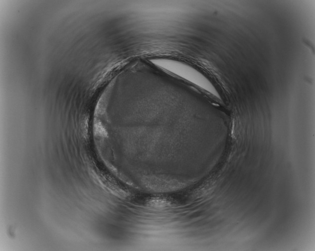 X0000100390596200806271359