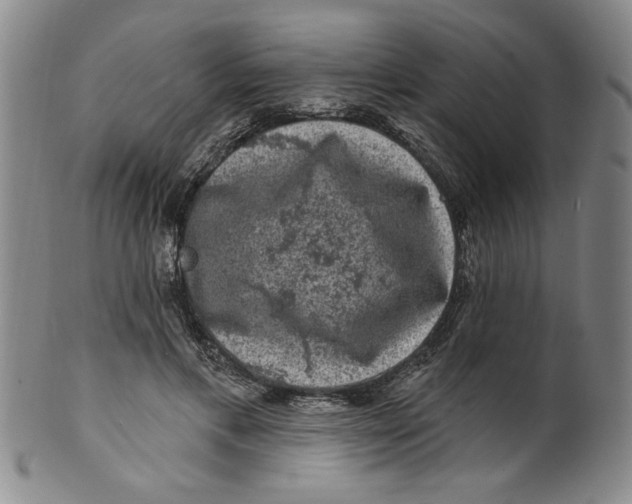 X0000100390597200806271359