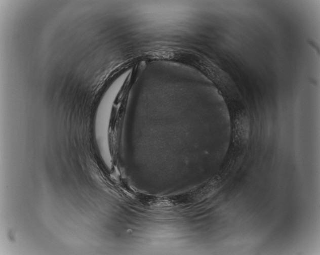 X0000100390600200806271359