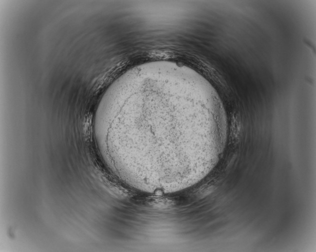 X0000100390601200806271359