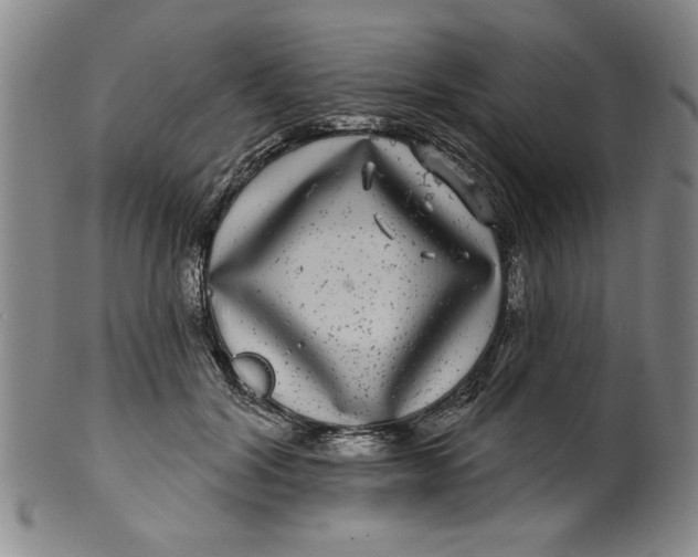 X0000100390604200806271359