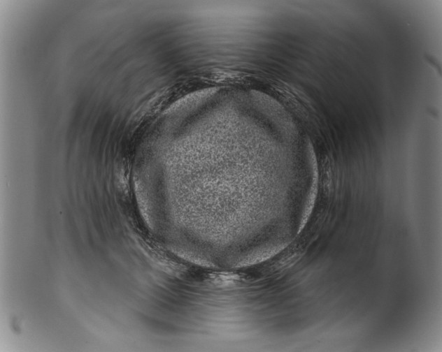 X0000100390607200806271359