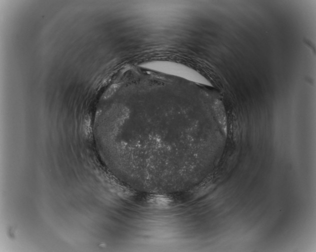 X0000100390610200806271359