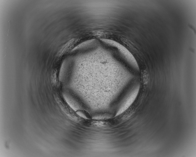 X0000100390611200806271359