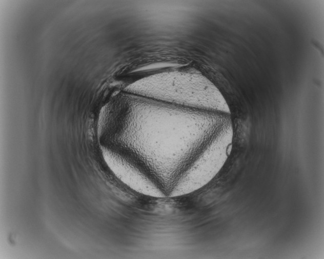 X0000100390612200806271359